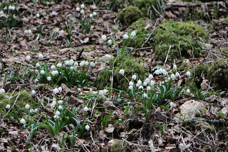 160313schatzberg (16).jpg